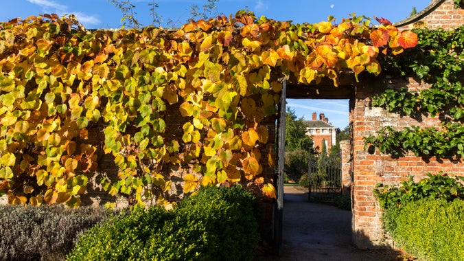 Stone wall covered with yellow leaves, open gateway with a view to historic house in the background